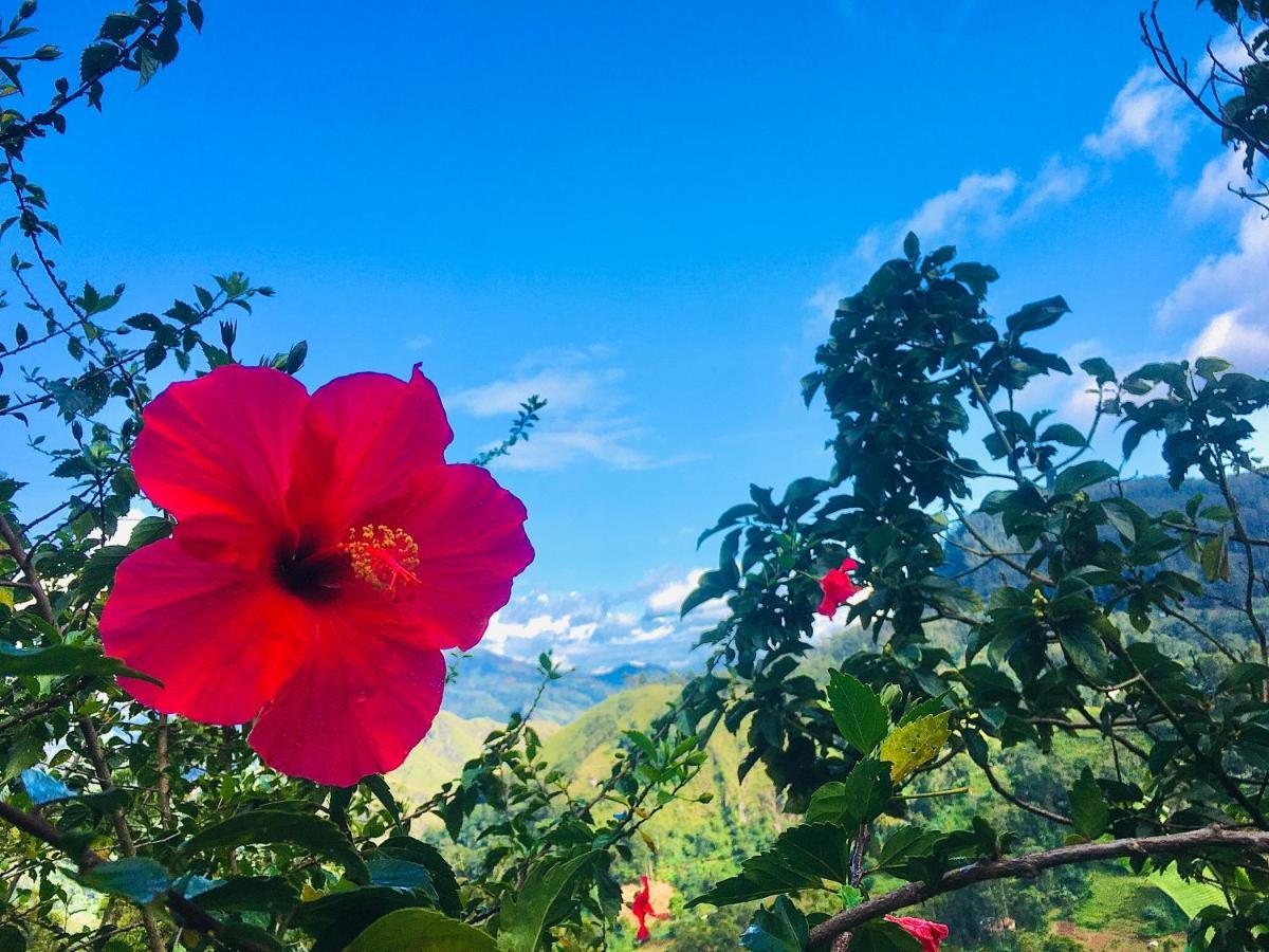Apartmán Bella Ella Exteriér fotografie